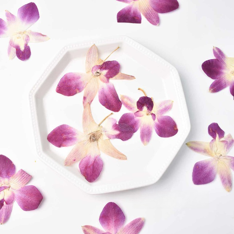 Photo Frame Baby - 4 Stück, Echte Gepresste Schmetterlingsorchideen-Blüten für