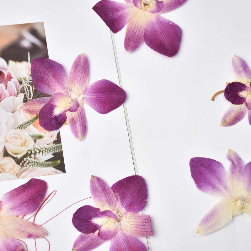 4 Stück, Echte Gepresste Schme – Photo Frame Baby Bewertung und Preis