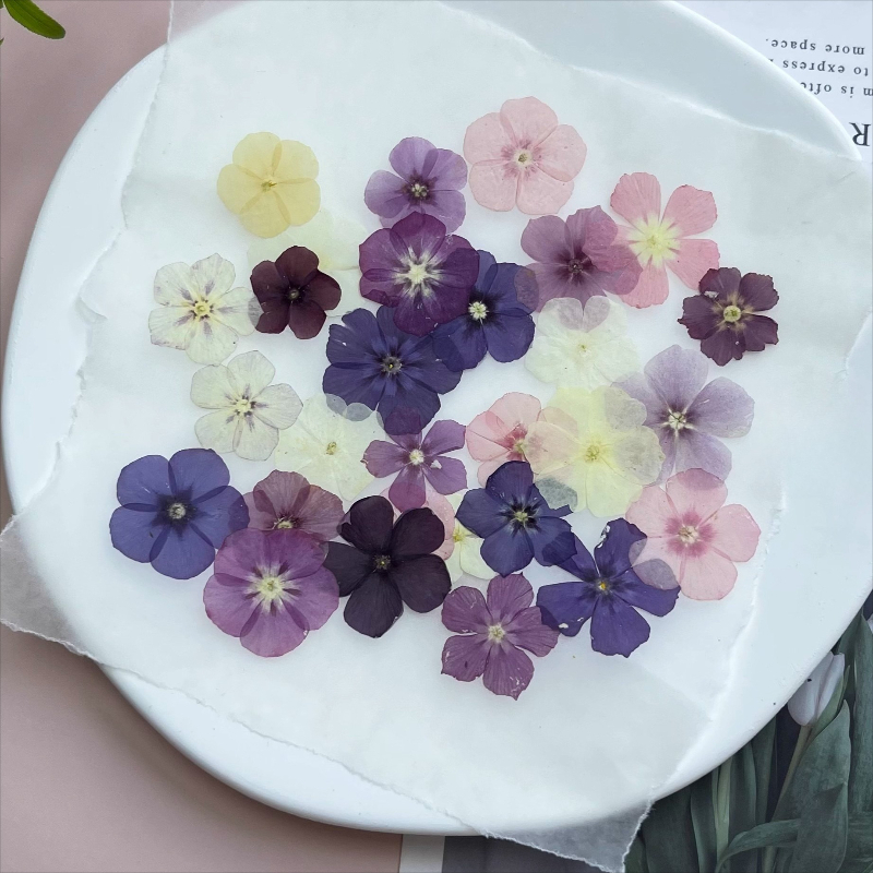12 Stück, halbtransparente Nis – Photo Frame Baby Bewertung und Preis